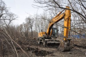 Пионерский парк: здесь вновь присядем на скамейку?..