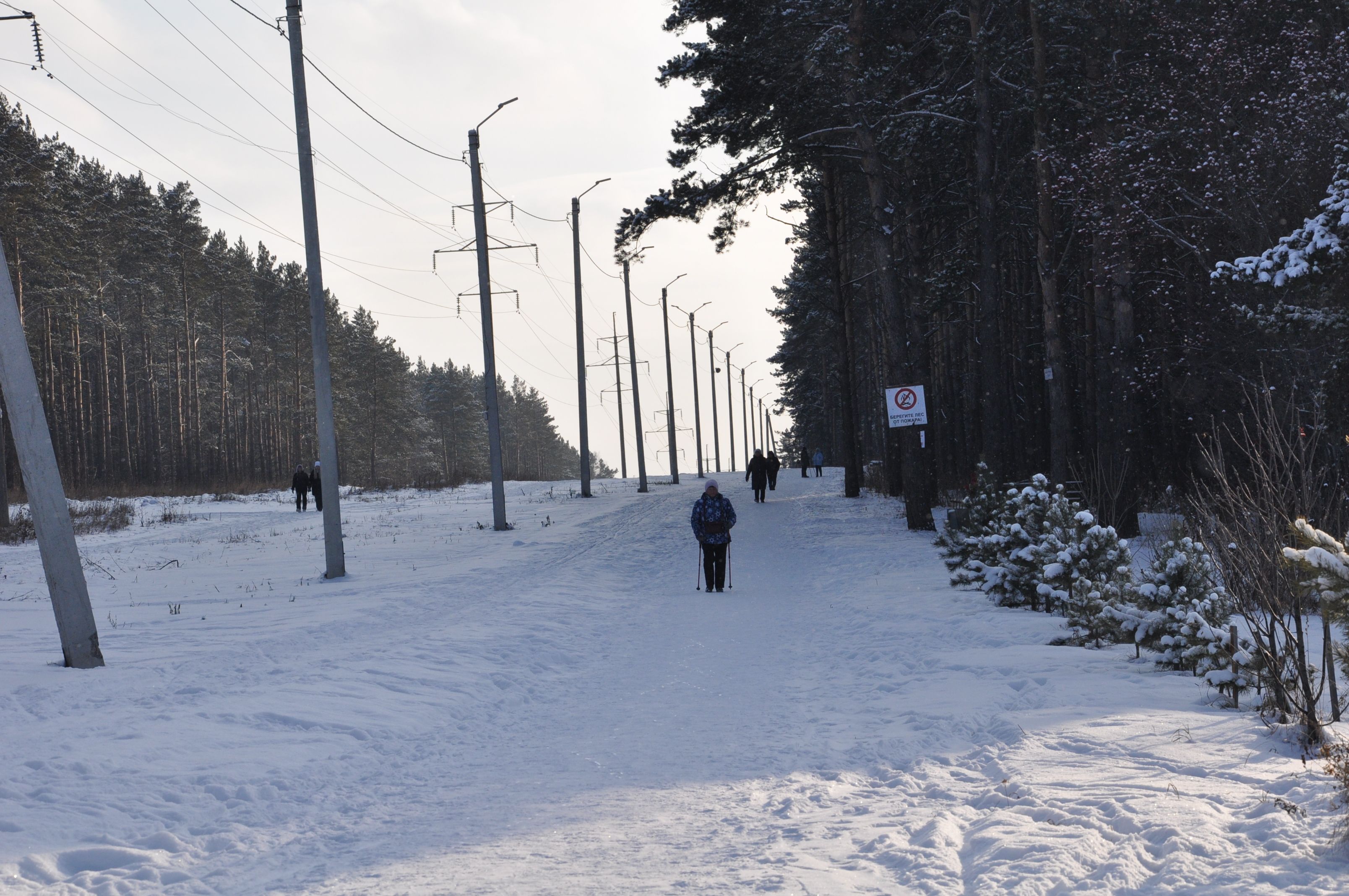 Давай вперёд, лыжня зовёт! | 01.12.2022 | Ленинск-Кузнецкий - БезФормата