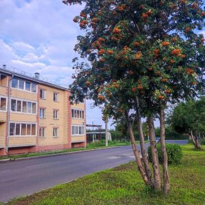 Обслуживающих организаций станет меньше