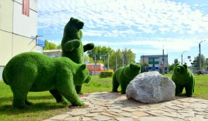 Косолапые в городе