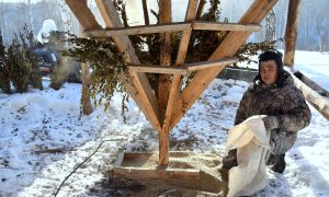 Лесная столовая: как егеря помогают диким животным