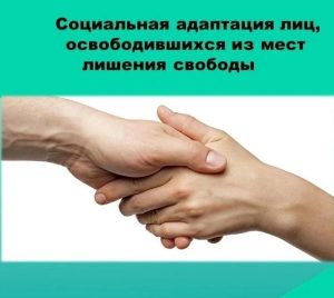 Социальная адаптация лиц, освободившихся из мест лишения свободы
